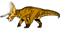 Pokeyceratops